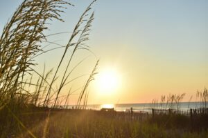 Staying Sober During Summer for Men and Why Structure Matters More This Time of Year